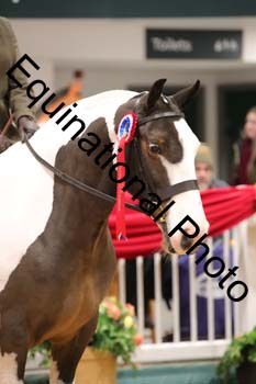 YQL-8594