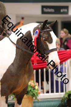 YQL-8595