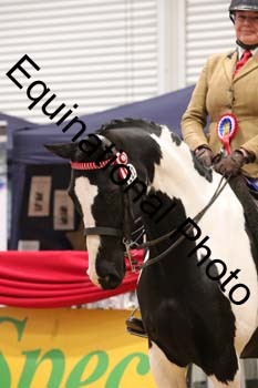 YQL-9081
