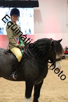 YQL-9199