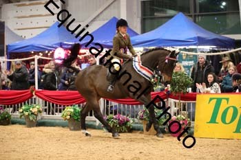 YQL-9256